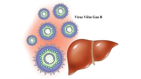 Bệnh Viêm gan B lây truyền như thế nào?